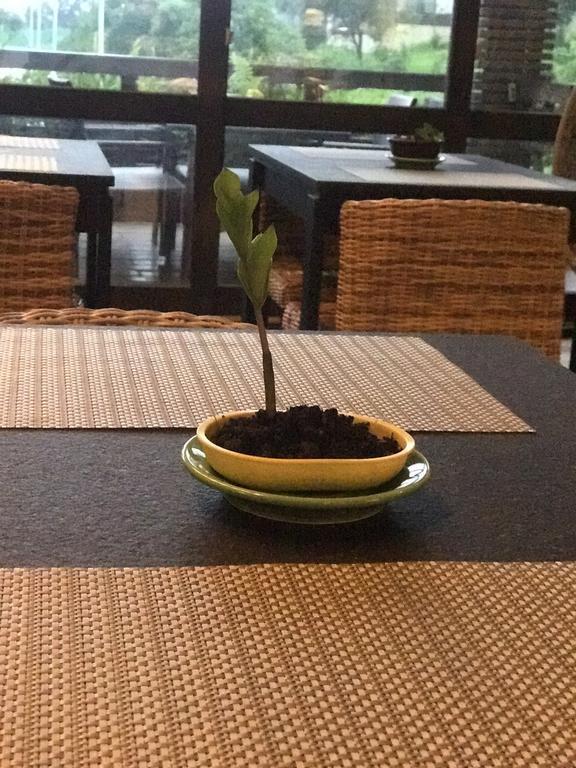 Most Natural Hotel Tiêu Khê Ngoại thất bức ảnh